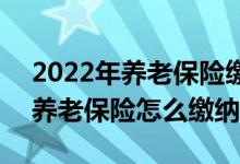 2022年养老保险缴费标准是怎样的 2022年养老保险怎么缴纳 