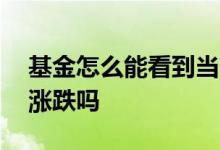 基金怎么能看到当天的涨跌 基金当天能看到涨跌吗