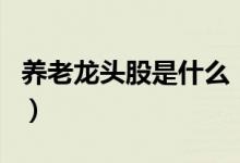 养老龙头股是什么（和养老相关龙头股票查询）