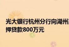 光大银行杭州分行向湖州嘉骏热电有限公司发放碳排放权质押贷款800万元