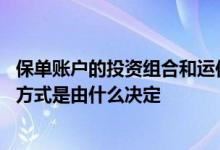 保单账户的投资组合和运作方式 保单账户的投资组合及运作方式是由什么决定