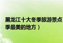 黑龙江十大冬季旅游景点（黑龙江冬天去哪里好玩黑龙江冬季最美的地方）