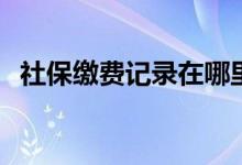 社保缴费记录在哪里查看 没到账怎么回事 
