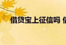 借贷宝上征信吗 借贷宝上征信是真是假