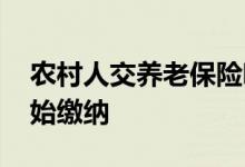 农村人交养老保险哪个档次最合适 多少岁开始缴纳 