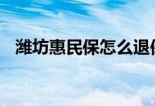 潍坊惠民保怎么退保 潍坊惠民保怎么退保