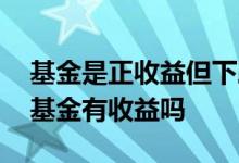 基金是正收益但下跌可以加仓吗 下跌日买的基金有收益吗