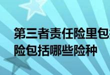 第三者责任险里包括哪些小险种 第三者责任险包括哪些险种