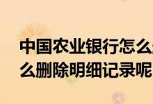 中国农业银行怎么删除明细记录 农业银行怎么删除明细记录呢