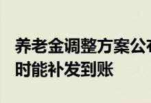 养老金调整方案公布2022 具体有哪些步骤何时能补发到账 