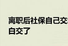 离职后社保自己交怎么办理 社保没转是不是白交了 