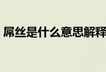 屌丝是什么意思解释一下（屌丝是什么意思）