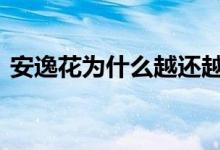 安逸花为什么越还越多 安逸花怎么越还越多