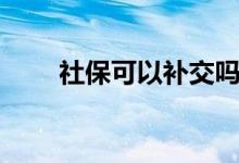 社保可以补交吗 社保补缴怎么操作 