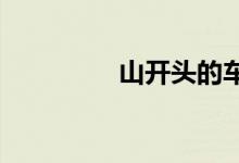  山开头的车牌是哪里的车 