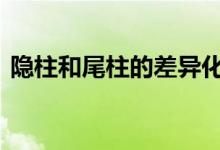  隐柱和尾柱的差异化解读 真的是很大的洞见 