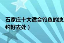 石家庄十大适合钓鱼的地方（哪个水库钓鱼好石家庄免费野钓好去处）