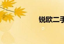 锐欧二手 roe怎么算