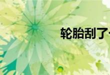  轮胎刮了个口子刚露线 