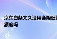 京东白条太久没用会降低额度吗 京东白条长时间不用会降低额度吗