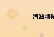  汽油颗粒过滤器报警 