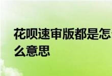 花呗速审版都是怎么处理的 花呗速审版是什么意思