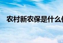 农村新农保是什么保险 新农保是什么保险