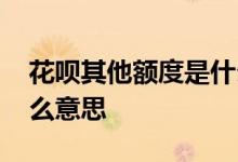 花呗其他额度是什么意思 花呗其他额度是什么意思