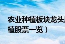 农业种植板块龙头股有哪些（2022年农业种植股票一览）