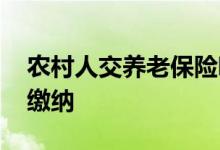 农村人交养老保险哪个档次合适 多少岁开始缴纳 