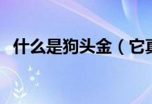 什么是狗头金（它真的来源于流星陨落吗）