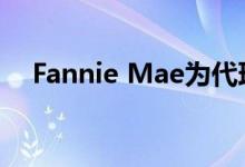  Fannie Mae为代理商提供更多卖空协助 