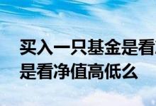 买入一只基金是看净值高低么 买入一只基金是看净值高低么