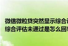 微信微粒贷突然显示综合评估未通过怎么办 微粒贷突然显示综合评估未通过是怎么回事