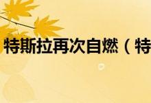 特斯拉再次自燃（特斯拉Model S起火自燃）