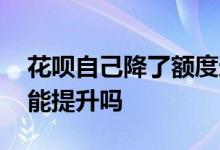 花呗自己降了额度还能提升 花呗降额度后还能提升吗