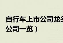 自行车上市公司龙头有哪些（自行车相关上市公司一览）