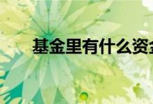 基金里有什么资金 基金里有什么风险