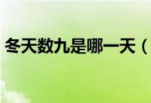 冬天数九是哪一天（冬至是进九的第一天吗）