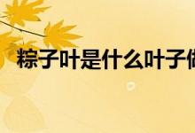 粽子叶是什么叶子做的（粽子叶是什么叶）