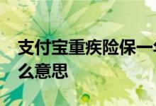 支付宝重疾险保一年 支付宝重疾险保20年什么意思