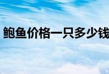 鲍鱼价格一只多少钱（鲍鱼价格一只多少钱）
