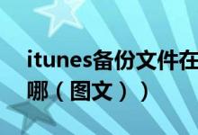 itunes备份文件在哪看（itunes备份文件在哪（图文））