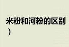 米粉和河粉的区别（米粉和河粉的区别是什么）