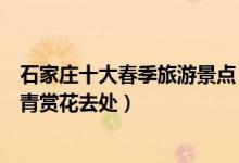 石家庄十大春季旅游景点（石家庄春天去哪里玩好石家庄踏青赏花去处）