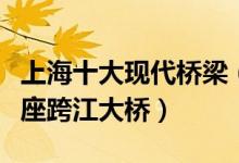 上海十大现代桥梁（上海著名的大桥上海有几座跨江大桥）