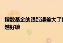 指数基金的跟踪误差大了好还是小了好 基金跟踪误差越小的越好嘛