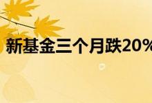 新基金三个月跌20% 新基金首发值得购买吗