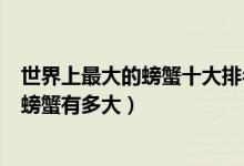 世界上最大的螃蟹十大排名（最大的螃蟹是什么品种最大的螃蟹有多大）