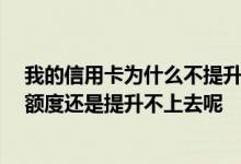 我的信用卡为什么不提升额度 我的信用卡经常使用 为什么额度还是提升不上去呢